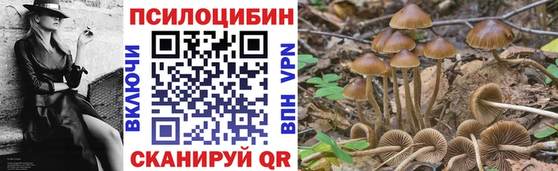 Псилоцибиновые грибы MAGIC MUSHROOMS  как найти закладки  Бугульма 
